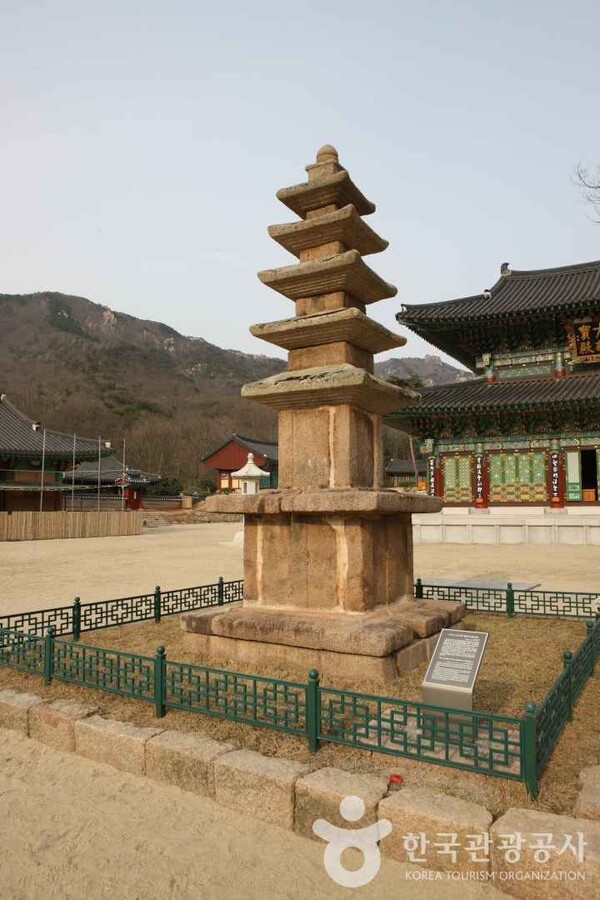 (주)본비코리아 이미지