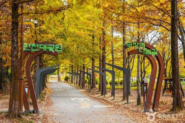 (주)투어맵코리아 이미지