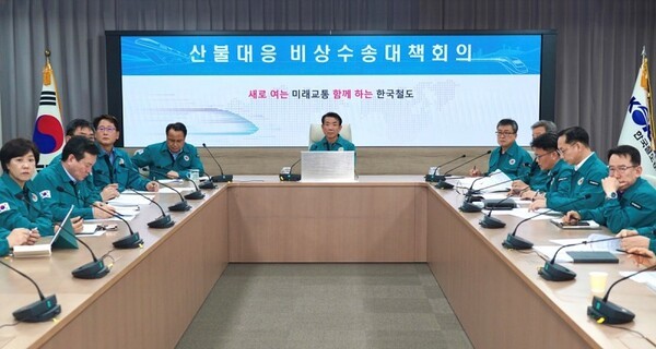 대상여행사주 이미지