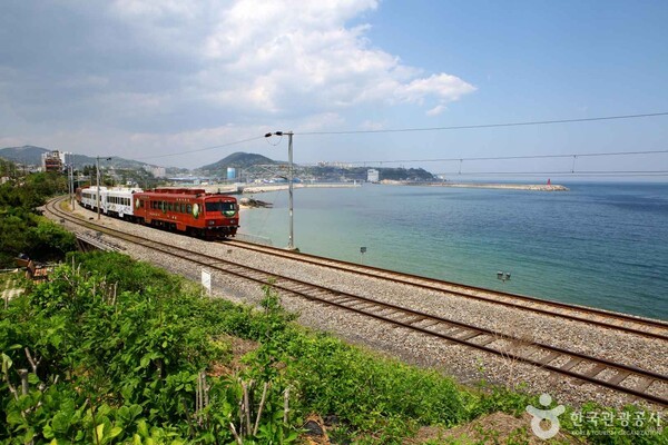(주)서강에프씨 이미지