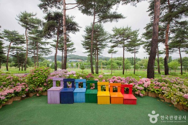 국제큰옷2 이미지