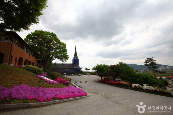(주)본비코리아 이미지