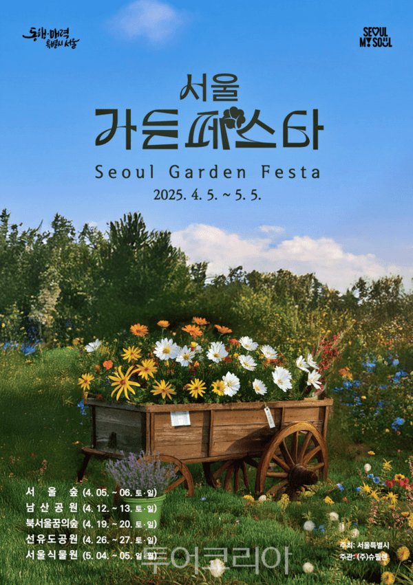 매화국제여행사 이미지