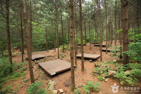 (주)횡성테마랜드 이미지