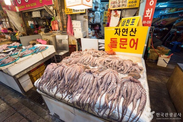 감성낙곱새대전 이미지