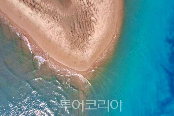 자연환경방역공사 이미지