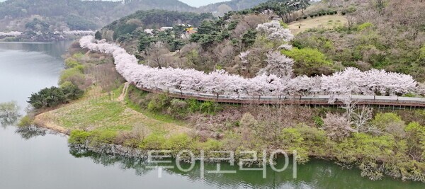 장미산업자원 이미지
