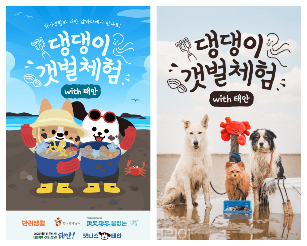 군산서해호남관광여행사 이미지