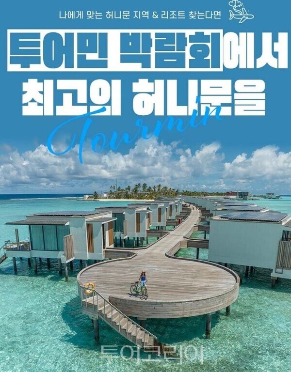 허니문결혼정보 이미지