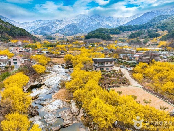 (주)서강에프씨 이미지