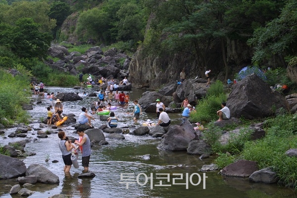 (주)자연의모든것 이미지