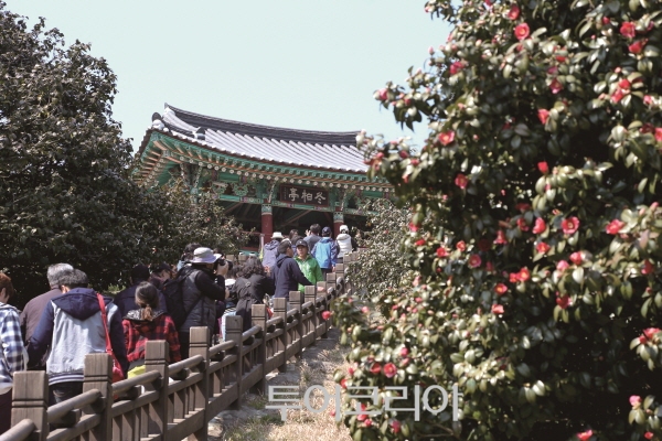 군산서해호남관광여행사 이미지