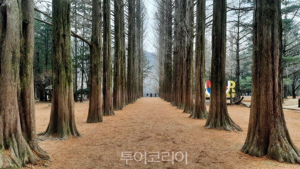 한전복사.인쇄 이미지