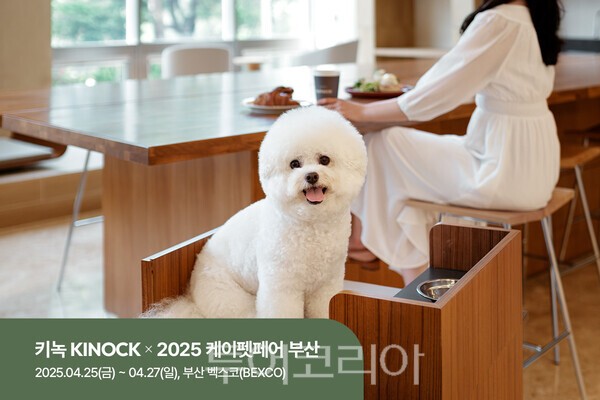 케이항공여행사 이미지