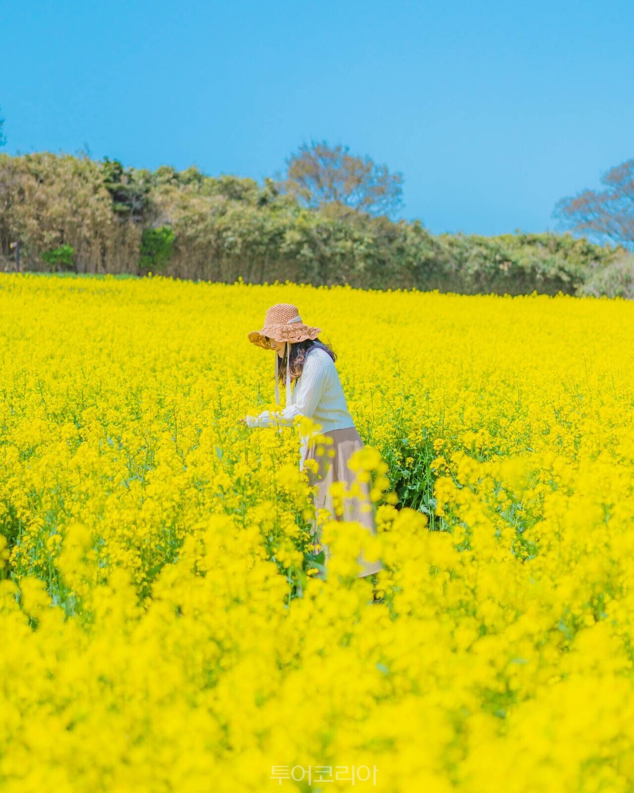 (주)하얀소금 이미지