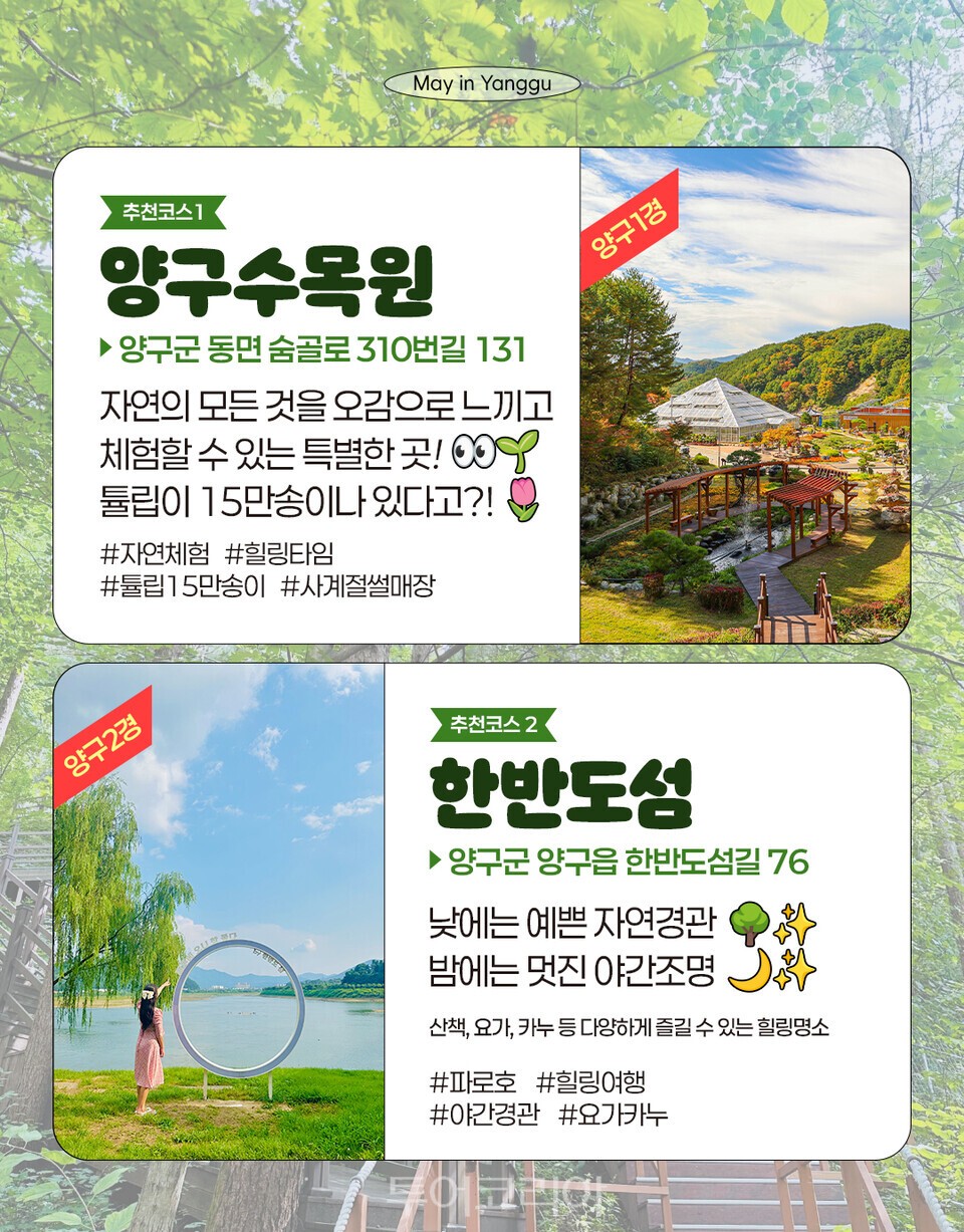 양구결혼정보 이미지