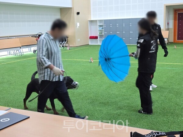 제주 원 축산유통 이미지