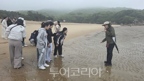 세종에듀투어 이미지