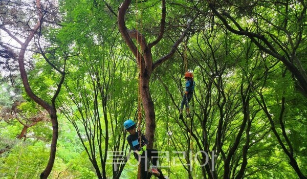 시민항공여행 이미지