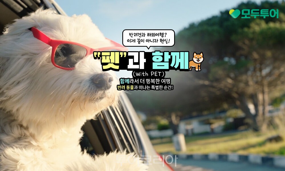 (주)대세에너지 이미지