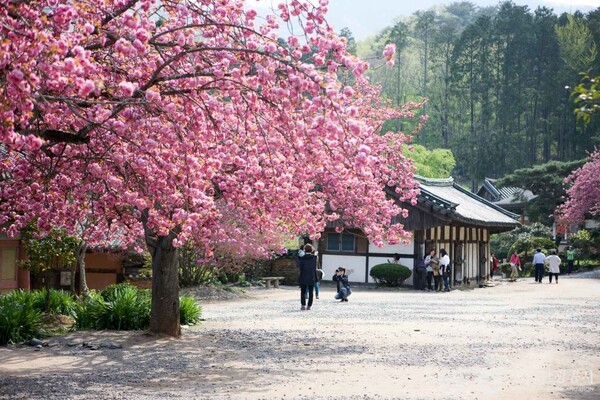 (주)사람과풍경 이미지