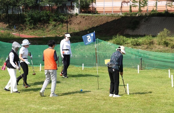 강원산림교육전문가협회 이미지