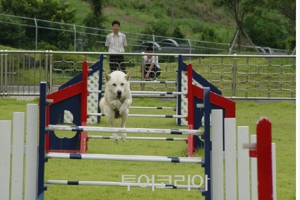 (주)유명한여행사 이미지