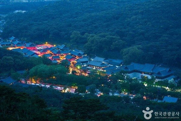 사계절테마항공여행사 이미지