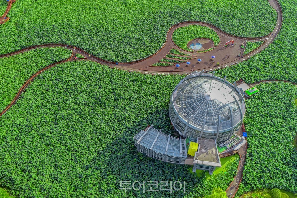 전남수상레포츠협회 이미지