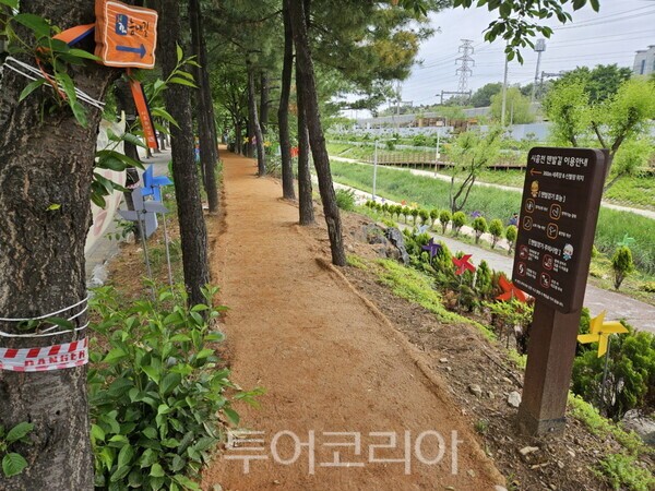 세계항공여행사주 이미지