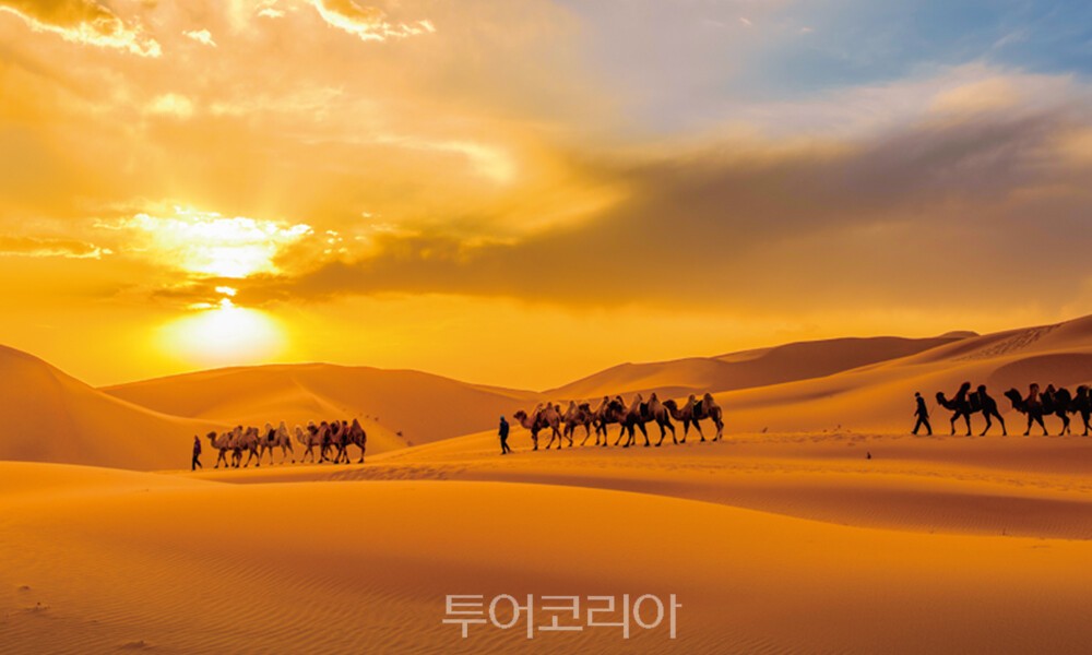 행운여행사 이미지