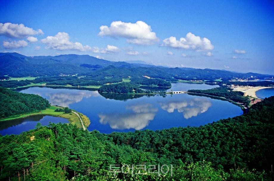 (주)세종국제여행사 이미지