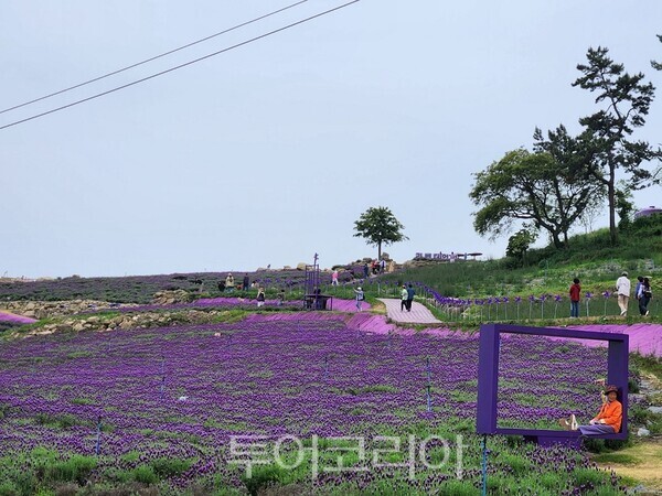(주)퍼플미디어 이미지