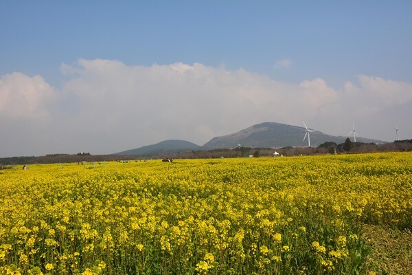 (주) 용인공원라이프 이미지
