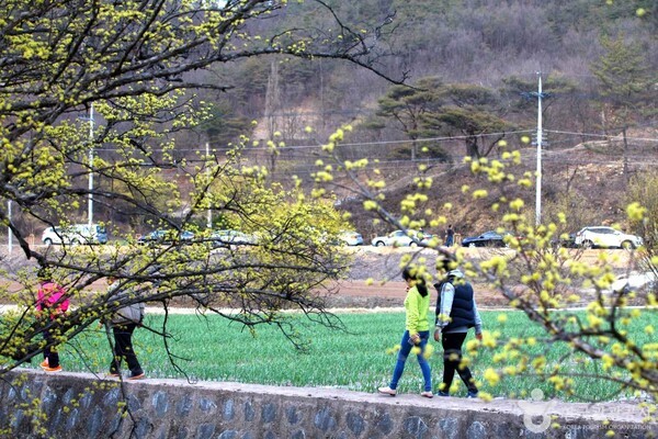 썬레포츠주 이미지