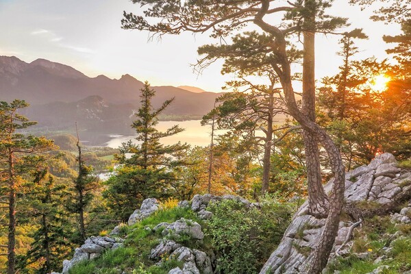 보람항공(주) 이미지