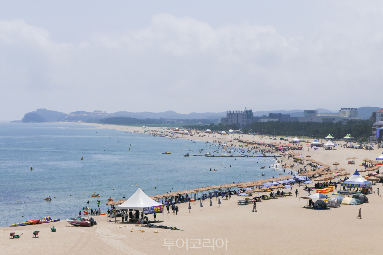 (주)세종국제여행사 이미지