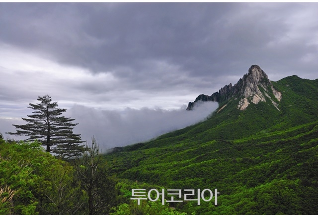 동해푸른광고 이미지