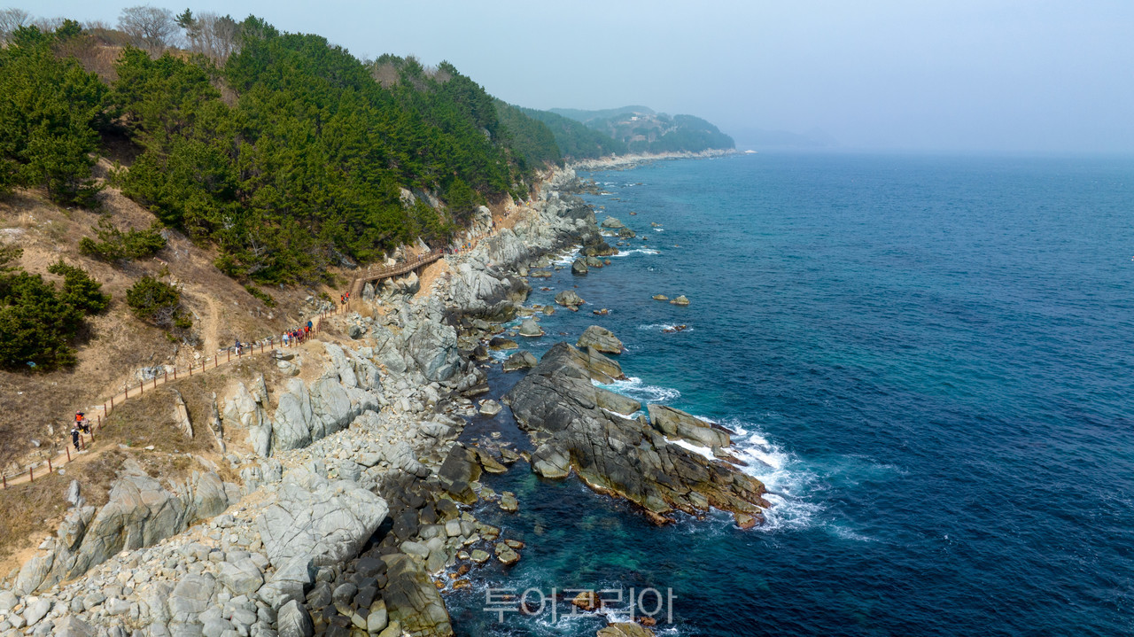 사계절테마항공여행사 이미지