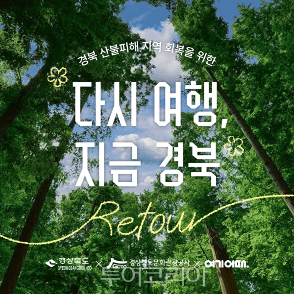 경북카서비스 이미지