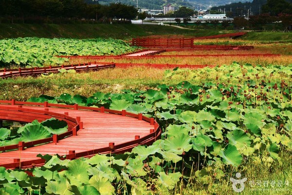 (주)제주드림여행사 이미지