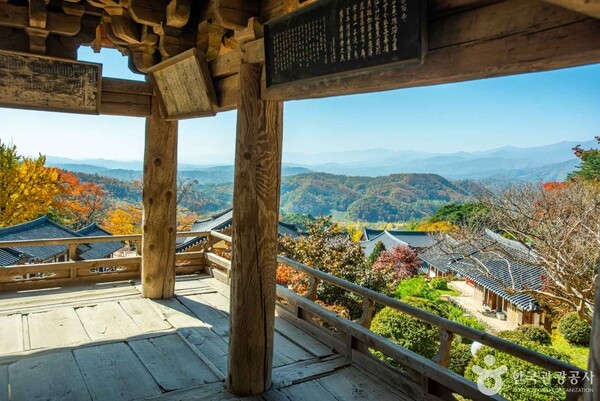 부산교통기사식당 이미지