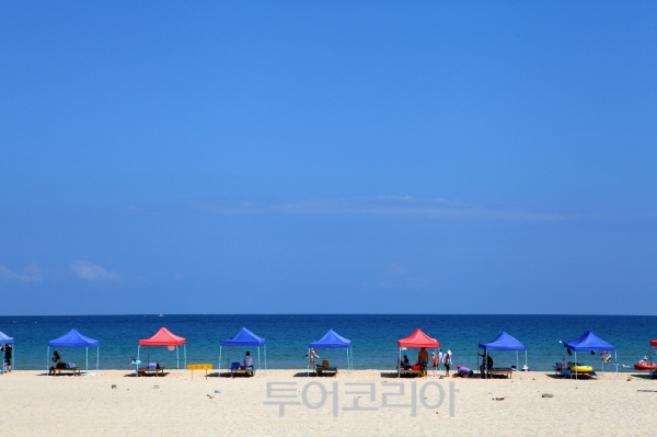 울산바다관광농원 이미지