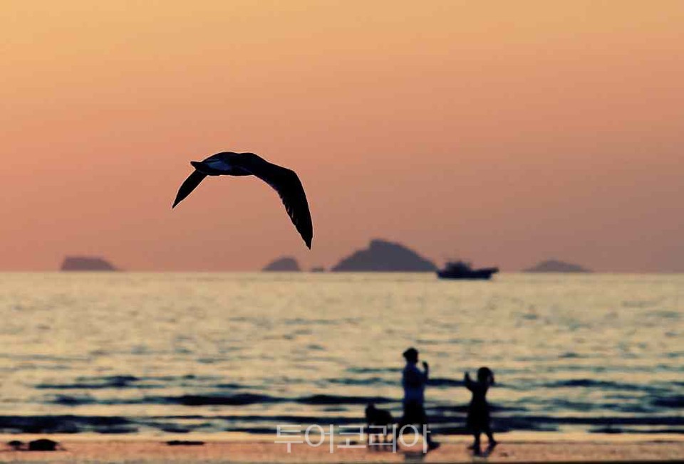 태안 꽃지해수욕장/사진-태안군