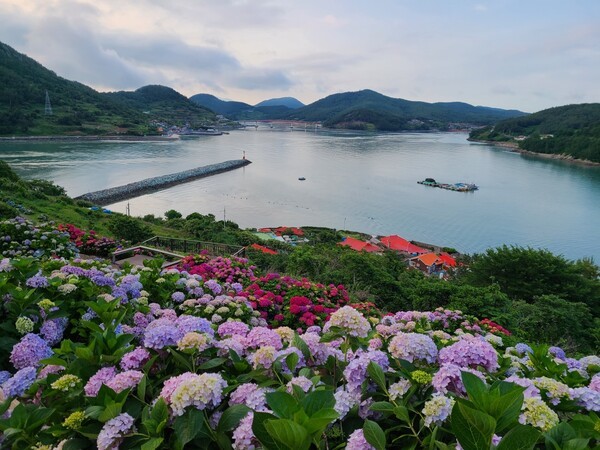 하늘교육여행사주 이미지