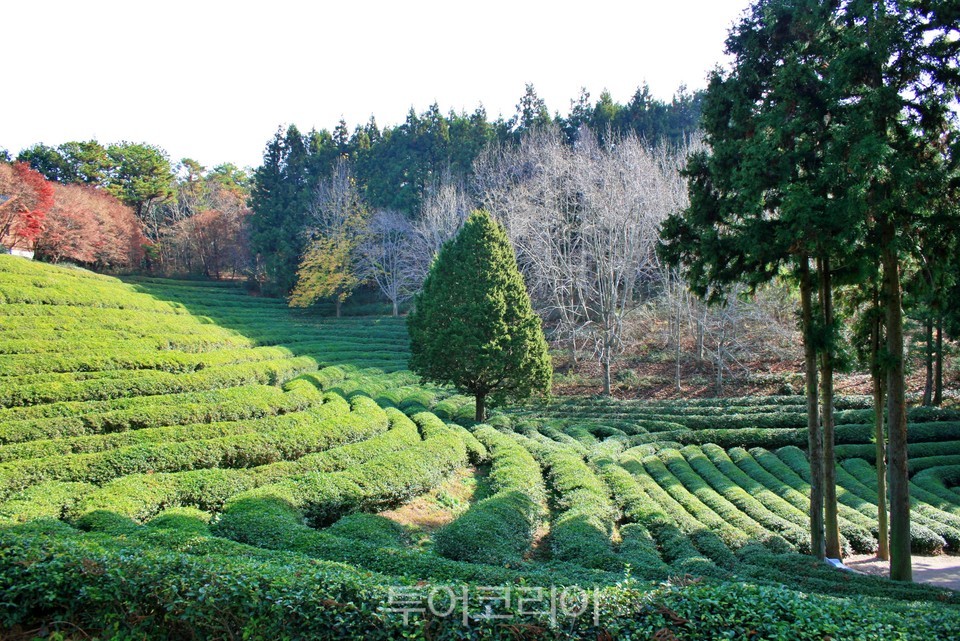 울산바다관광농원 이미지