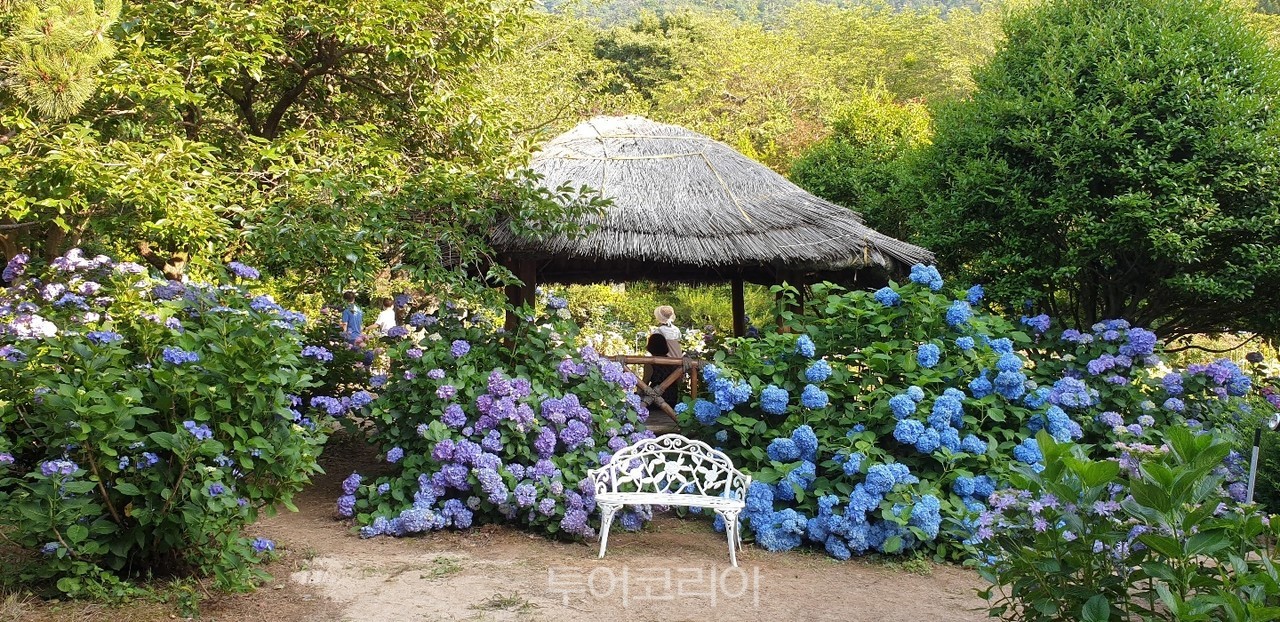(주)다모아산업 이미지