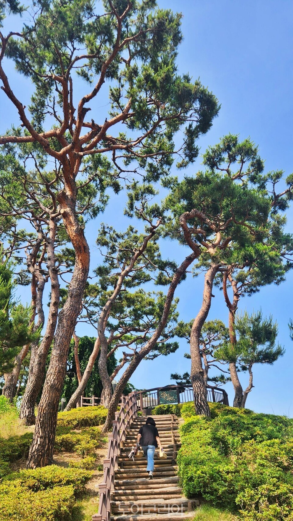 자연환경방역공사 이미지