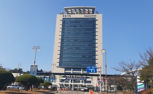 비둘기여행사 이미지