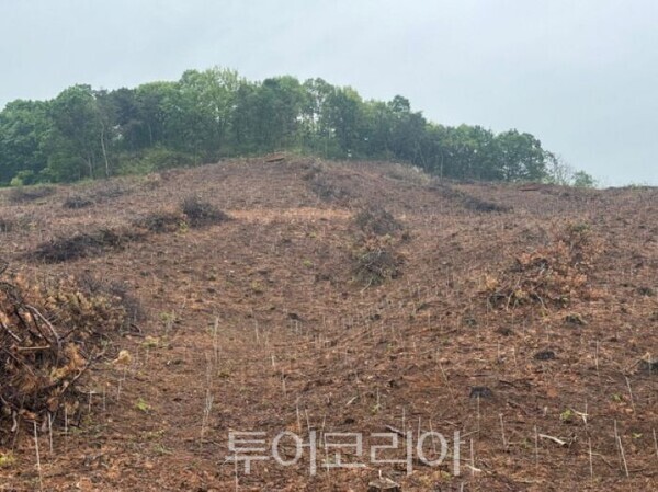 백합산업안전 이미지